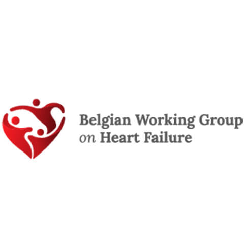 https://www.hfpolicynetwork.org/members/belgian-working-group-on-heart-failure/